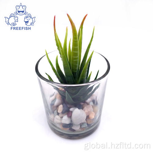 Succulent Plant Pots Mini Desktop Artificial Succulent Plants in Glass pot Supplier